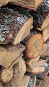 2.2K views · 242 reactions | At Bar-B-Cutie, all of our barbecue is smoked with Local Wood 蝹 Our wood is locally sourced directly from our communities: San Antonio - Post Oak Wood South Texas - Mesquite Wood Tennessee - Hickory Wood Georgia - Hickory Wood Can you taste the difference?  . . . #BarBCutie #SmokedWood #BBQ #SmokedBBQ | Bar-B-Cutie SmokeHouse | Facebook