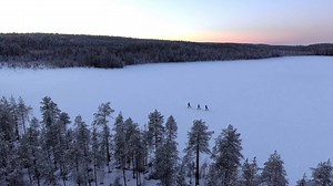Dreaming of the perfect winter wonderland hideaway? . . Escape to the beautiful, secluded and exclusive Loggers Lodge nestled deep in the forests of Swedish Lapland - a magnificent spot to see the magical Northern Lights. Private guides, personal chefs, outdoor hotub and all this in a setting second to none! . . Get in touch today! Video Credit: Pure Lapland / Loggers Lodge | Off The Map Travel