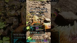 How to Tame a DIMORPHODON in #ASA #ARK Survival Ascended