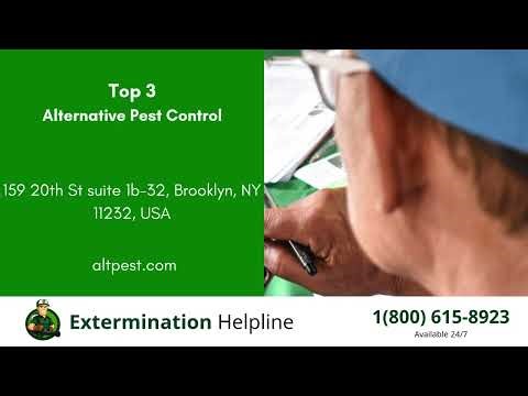 Top 3 Exterminators in Arlington