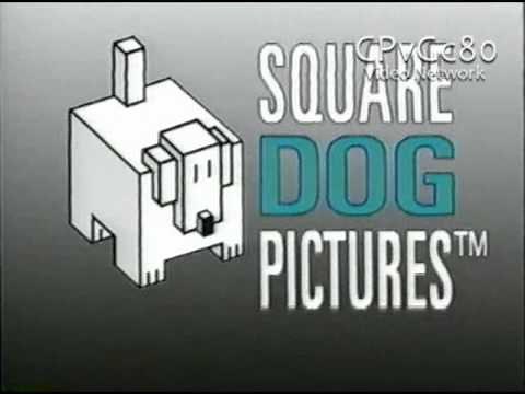 Square Dog Pictures
