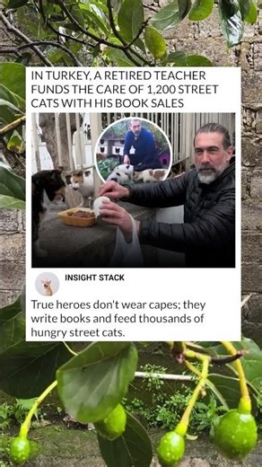 Heartwarming! 🐈 This Retired Teacher Supports 1,200 Street Cats with His Books! 📚❤️