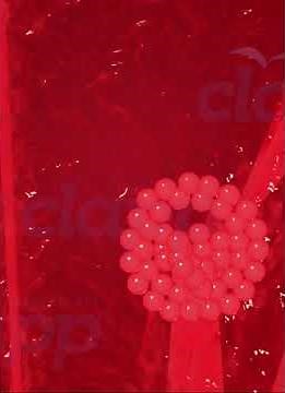 Fetal Development Embryonic stage 3D Animation