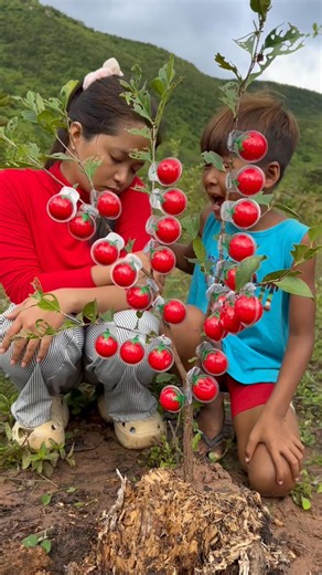 Survival hacks on Instagram: "Survival candy in forest #bushcraft #camping #Outdoors #ideas"