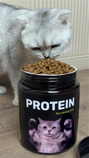 Kitty is afraid of the vacuum cleaner #viralshorts #youtubeshorts