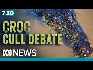 An explosion in crocodile numbers is leading to a mass removal | 7.30
