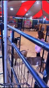 1.4K reactions · 36 comments | Pumpkin patch visit #vlog #pumkinpatch #fypシ #mravance #tiktok | Enock Avance | Facebook