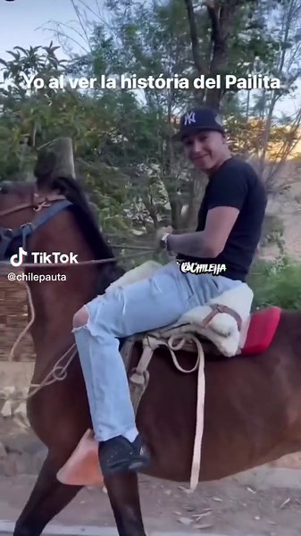 Chilepauta on TikTok