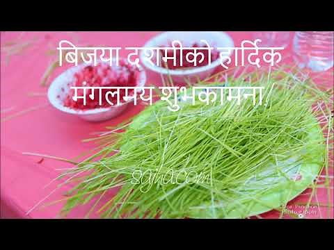 Dashain Mangal Dhun, Dashain Mangal Dhun on repeat