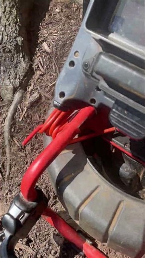 Found a dead squirrel clogging clean out #sewerrepair #plumbing #sewerinspection #seasnake