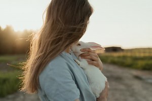 How to get your rabbit to cuddle with you: 5 steps (personally proven)