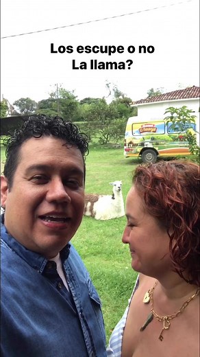 Lo escupe o no la llama? 🤣🤣🤣 #comedy #piroberta #comedia #llama #challenge #parejasdivertidas #humor #parejasfelices #matrimonio #reto | Piroberta
