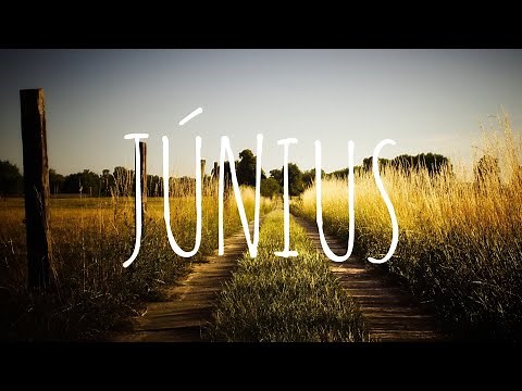 🇭🇺 Legjobb Magyar Zenék 2020 Június Válogatás