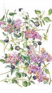 A glimpse into Plantae 2025 Held this spring at the beautiful Mall Galleries in London, this year's Plantae exhibition brought together exquisite watercolour works from botanical artists around the world. From delicate textures to vibrant botanicals, each piece reflects the precision, passion, and beauty that define our community. Thank you to all who contributed their talent and vision to this stunning collection. We’re proud to celebrate the art of nature, and the nature of art. #Plantae2025 #