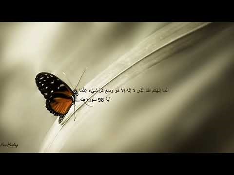 Sourate Taha ( récitation relaxante)