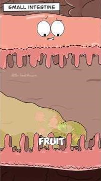 Why Your Poop Comes Out in Different Colors? #shorts