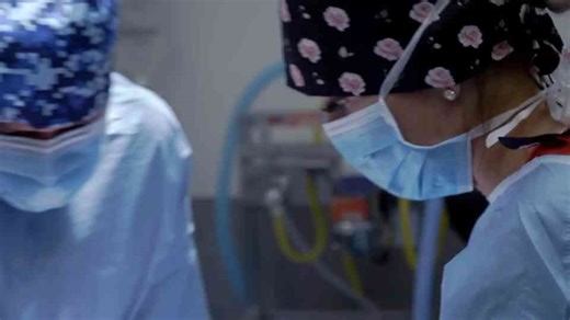 Vet intervention saves dog from stomach glue ball