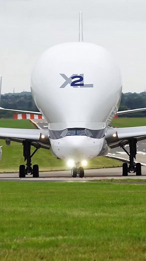 why is the Beluga cockpit so small #aviation #aviationlovers #aviationdaily | Aviationlife737