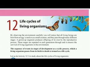 Grade 8 science Lesson 12 Life cycles of living organisms