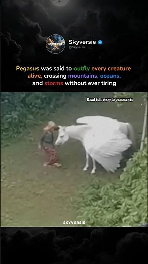 The Untold Story of Pegasus Hidden in Greek Mythology