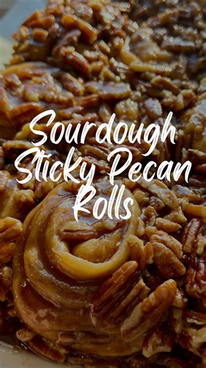 You’re the first to see this new recipe: sourdough sticky pecan rolls. I am definitely making these this holiday season for family and friends. The nutty pecans, the sticky/carmely topping and those tender cinnamon rolls. You’ve got to try this recipe! Find the recipe on my website (link in profile) or comment “LINK” and I’ll send it to you! #sourdough #sourdoughbaking #sourdoughstarter #sourdoughbread #cinnamonroll | Amy Bakes Bread
