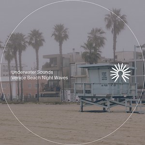 Underwater Circus Concert & Tour History  | Concert Archives