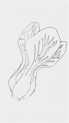 We’re drawing cabbage 🥬 #drawing #cabbage #art #howtodraw #drawingtutorial #shorts