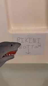 The bob is calling… will you answer? | the.shark.puppet