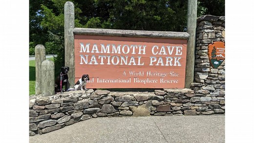 Dog-Friendly Guide to Mammoth Cave National Park - Pawsitively Intrepid
