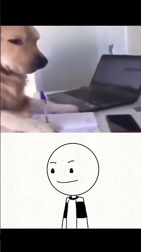 The dog doing homework #memes #shorts