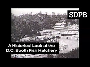 A Historical Look at the D.C. Booth Fish Hatchery | Images of the Past