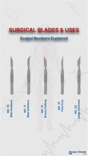Pulsecheck MD on Instagram: "These surgical blades may look similar… but each one has a life-saving purpose 🔪❤️‍🩹 Blade 22 – Abdominal Incisions Blade 15 – Minor Surgical Procedures Blade 12 – Suture Removal Blade 11 – Arteriotomy & Abscess Drainage Blade 10 – Skin Incisions If you’re a medical student or healthcare professional… this is must-know knowledge! 🧠✨ Learning never stops in medicine 👨‍⚕️👩‍⚕️ @pulsecheck_md Follow for daily medical facts & surgical science 🔥 Drop a 🩺 if you want