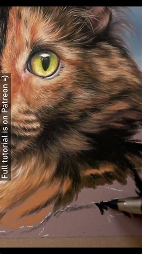 A big part of drawing this type of fur texture realistically is the shading of one colour to the next. Avoiding harsh start and stop points makes a huge difference to how soft the details appear on top. If the pencil strokes have to much rigidity then the more natural flow of the fur is lost. Every pencil stroke here had a degree of curvature to it but each must follow the direction of the fur in order to recreate the shape and form correctly. | Zara's Pet Portraits & Wildlife Art