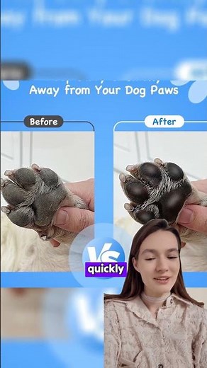 Unboxing and Review: Paw Cleaner for Dogs - Keep Your Pet's Paws Mud-Free!
