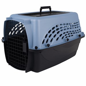 Petmate Plastic Carrier for Dogs & Cats, 2 Door Top Load Travel Kennel, Blue, for Dogs & Cats up to 15 lbs, Medium, 24" x 14.50" x 16.76"