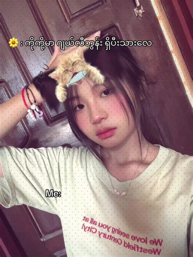 Exploring the Charm of Jelly Beans in Myanmar