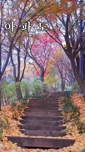 아파다 - 가을의 감성을 담은 노래 추천