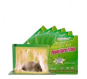 [Hot Item] Multi-Catch Sticky Mouse Trap