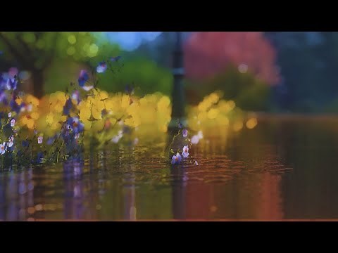 Testing ReShade 4.7 and the Ray Tracing shader in Sims 3