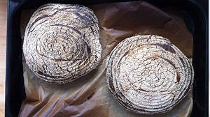 What are the Origins of Sourdough Bread? Brief History of Sourdough | My Daily Sourdough Bread