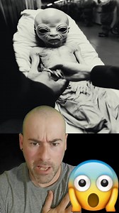 65K views · 764 reactions | ⭕ALERTA‼ Capturan un ALIEN GRIS venido del Planeta Venus!! #viralreelsfacebook #misterio | Laguna Negra | Facebook