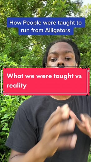 How people were taught to run from #alligators vs how #floridians run from alligators .. #omgitswicks #florida #weareflorida