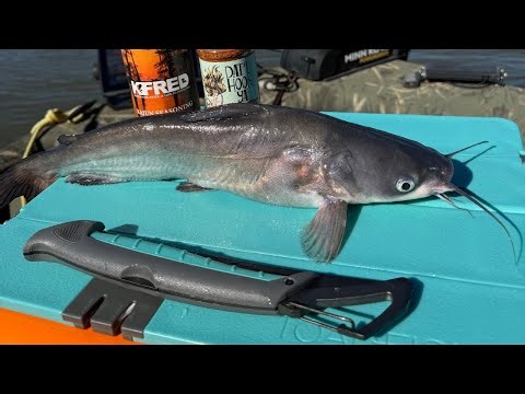 Fall Cat Fishing on Lake Wateree. Catch and cook on the boat!