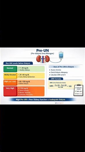 Pre-UN explained | Know your urea level before dialysis #shortreels #medicaleducation #viral