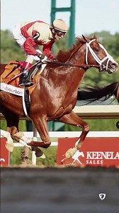 Fall In Love With Antiquarian!