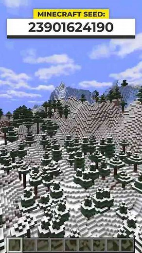 Stunning Winter Wonderland Discovered in Minecraft 1.21.1 — You Have to See This Seed