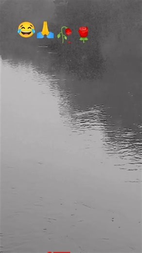 28 नवंबर 2025