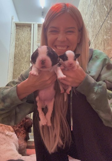 Size Difference Between Biggest Pup and Runt