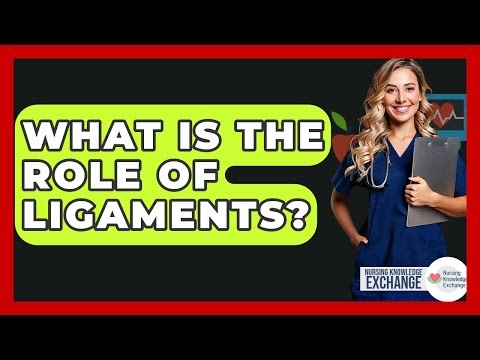 What Is The Role Of Ligaments? - Nursing Knowledge Exchange