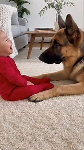 Now THIS Is What Peak Babysitting Looks Like 🫣🐶👶 Living room floor, mid-morning, zero supervision required. One baby. One very serious dog. No toys. No instructions. Just a mutual agreement to play the world’s gentlest game of peekaboo. The baby giggles like he’s discovered comedy for the first time. The dog freezes, eyes locked, calculating every move like a furry chess grandmaster. Paws inch forward. Baby leans in. Trust level: dangerously high. Nothing explodes. No chaos ensues. Just pure,